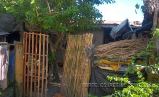 ¤ª°¶¼ÂÈÎÔÚàæì