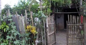 BFS Foreclosed House and Lot at VILLA CLEMENTA