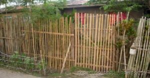 BFS Foreclosed House and Lot at VILLA CLEMENTA