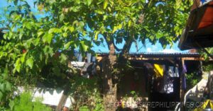 BFS Foreclosed House and Lot at VILLA CLEMENTA