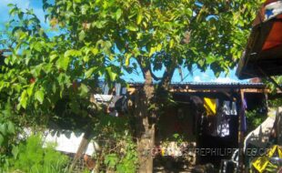  ¦¬²¸¾ÄÊÐÖÜâèî