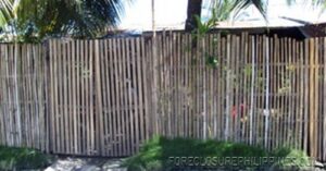 BFS Foreclosed House and Lot at VILLA CLEMENTA