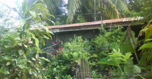 BFS Foreclosed House and Lot at VILLA CLEMENTA