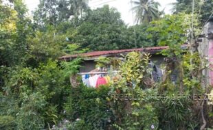 11e c9 05002d04e03a86804e01040c306ffb   0239 9e921a 84c1fb 6e51fb12eb1d3 8081e3 1b51e3 19a1b314d41bf 78f1cb 8191cb d781a3 f1a1b3 72e1b3 797183 506153 45618f 37f18f 2ee1ca 98e1a477b017e3984183 f9018e10a3199196a1a4256f1af35a41ba48ef1c553a01ca   0