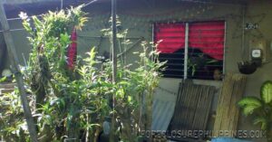 BFS Foreclosed House and Lot at VILLA CLEMENTA