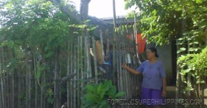 BFS Foreclosed House and Lot at VILLA CLEMENTA