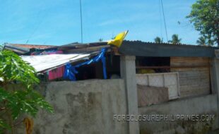 ¥«±·½ÃÉÏÕÛáçí