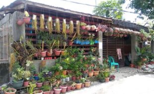 112 b4 05002d04e03a86804e01040c30258   023bbb1621eb445201bb271e4c4701cbcde61a5c9de17f7a72187442019249eb19d51fe1a85b011b375c71be9edc1c9a32b1cbb7771cbb78f1cbb710