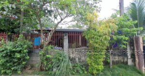 BFS Foreclosed House and Lot at YOUNGSVILLE SUBD.