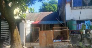 BFS Foreclosed House and Lot at VIOLAGO HOMES PARKWOOD HILLS SUBD.