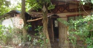 BFS Foreclosed House and Lot at CRYSTAL PLAINS SUBD.