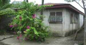 BFS Foreclosed House and Lot at EMENVIL GUERRA SUBD.