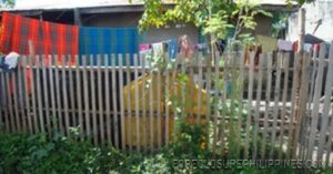 BFS Foreclosed House and Lot at VILLA CLEMENTA