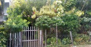 BFS Foreclosed House and Lot at VILLA APURA SUBD.
