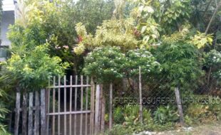 017 dd 05002d04e03a86804e01040c30258   0239 c0421a c011fb cde1e013191b810dc1c8 61f1d0 92b1d8 c171e0 e451e8 feb1f011f31f813981f0135f1f014161c813b51d8 9781e0 c761e8 edd1f011131f812591f012271f011d9