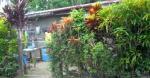 BFS Foreclosed House and Lot at VILLA APURA SUBD.