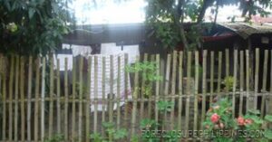BFS Foreclosed House and Lot at VILLA CLEMENTA