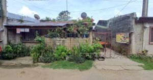 BFS Foreclosed House and Lot at YOUNGSVILLE SUBD.