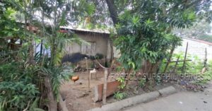 BFS Foreclosed House and Lot at YOUNGSVILLE SUBD.