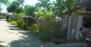 BFS Foreclosed House and Lot at VILLA CLEMENTA
