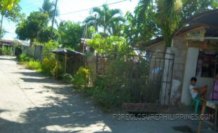 ¤ª°¶¼ÂÈÎÔÚàæì