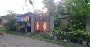 BFS Foreclosed House and Lot at ALICIA MIDTOWN SUBD.