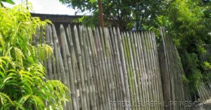 BFS Foreclosed House and Lot at VILLA APURA SUBD.