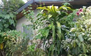 0 e d1 05002d04e03a86804e01040c30258   02334c9720e38de1e939ad1c82d0d1c839f41a024c21b01b6a1b826b31c02b151c82c121d02ce51c82a081c82c1e