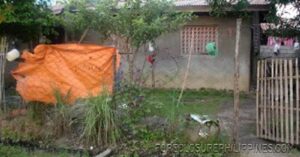 BFS Foreclosed House and Lot at VILLA CLEMENTA