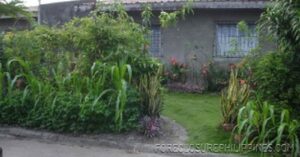 BFS Foreclosed House and Lot at VILLA APURA SUBD.
