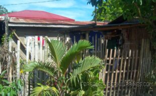 ¤ª°¶¼ÂÈÎÔÚàæì