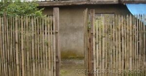 BFS Foreclosed House and Lot at VILLA APURA SUBD.