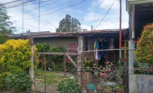 1 b 96 05002d0c466322981f21040c301cb1cda1a527a417f3ebf18322b218e2c5819931231a43e1a1af436d1ba44bf1af3ad31af44ac