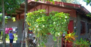BFS Foreclosed House and Lot at NORTHERN PLAINS SUBD.