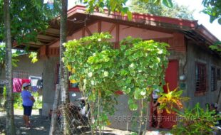 ¤ª°¶¼ÂÈÎÔÚàæì