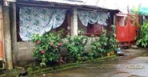 BFS Foreclosed House and Lot at SAN DIONISIO SUBD.