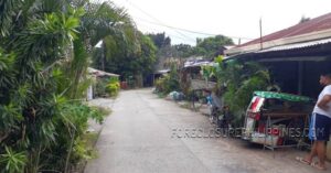 BFS Foreclosed House and Lot at DOÑA NENE HOMES II