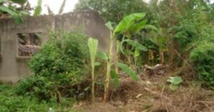 BFS Foreclosed Lot only at YOUNGSVILLE SUBD.