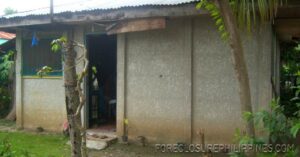 BFS Foreclosed House and Lot at PANABO COUNTRY HOMES