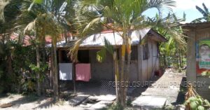 BFS Foreclosed House and Lot at PANABO COUNTRY HOMES