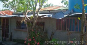 BFS Foreclosed House and Lot at PANABO COUNTRY HOMES