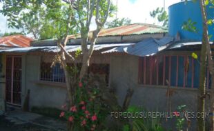 ¢¨®´ºÀÆÌÒØÞäêð