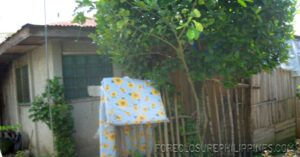 BFS Foreclosed House and Lot at TAGUM COUNTRY HOMES