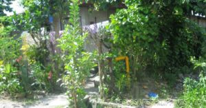 BFS Foreclosed House and Lot at TAGUM COUNTRY HOMES