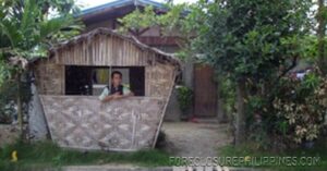 BFS Foreclosed House and Lot at CRYSTAL PLAINS SUBD.