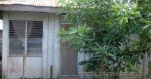 BFS Foreclosed House and Lot at TAGUM COUNTRY HOMES