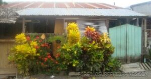 BFS Foreclosed House and Lot at EMENVIL GUERRA SUBD.