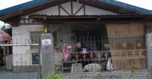 BFS Foreclosed House and Lot at NORTHERN PLAINS SUBD.