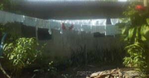 BFS Foreclosed House and Lot at VILLA CLEMENTA