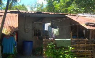  ¦¬²¸¾ÄÊÐÖÜâèî